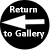 return to gallery button